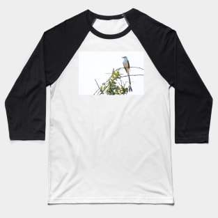 Scissor-tailed Flycatcher The Oklahoma State Bird Baseball T-Shirt